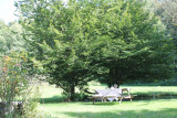 quiétude au jardin
