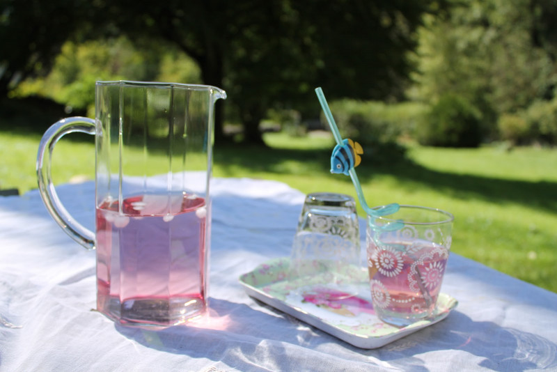 boisson au jardin - © frederique Moreau Pernet boisson au jardin