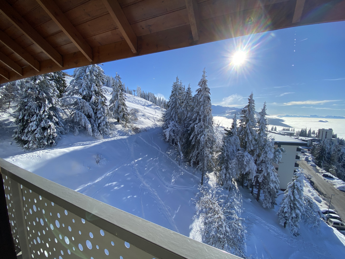 Vue sur le massif de Chartreuse -Appartement  Plein Ciel N°31