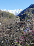 Vue extérieure - Appartement verte prairie