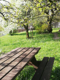 Jardin - Appartement verte prairie
