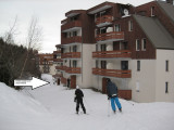 gentianes_2_cote_studio_hiver.jpg