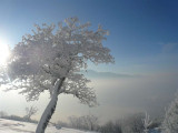 Hiver