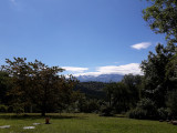 La vue