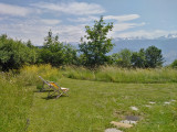 le jardin
