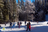 Ski alpin et Nordique Chartreuse