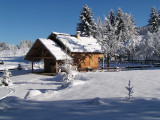 30214620.jpg.jpg