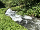 Le ruisseau