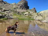 Gîte dog friendly