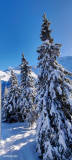 Station de ski Prapoutel les 7 Laux