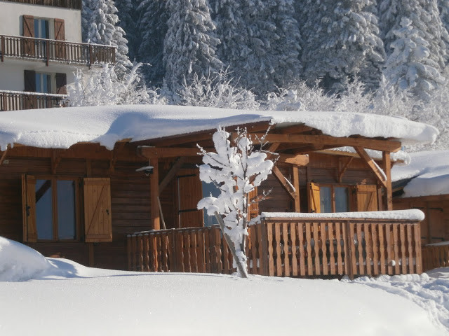 location_chalet_au_collet_d_allevard_allevard_resa_2424.jpg