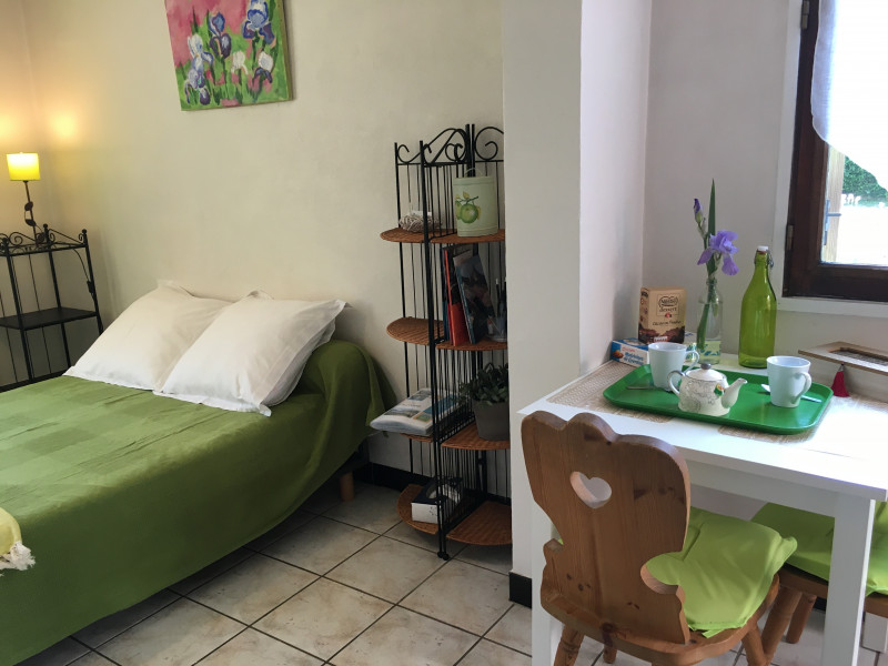 3_iris_villa_sebastien.jpg