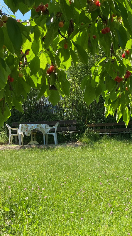 Jardin