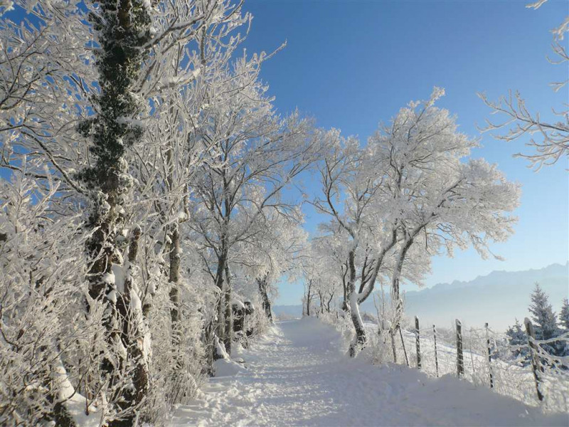 Dans les dioux à 900m du chalet