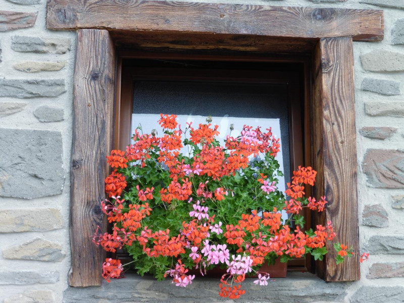 fenêtre de la cuisine - © Gîtes de France fenêtre de la cuisine