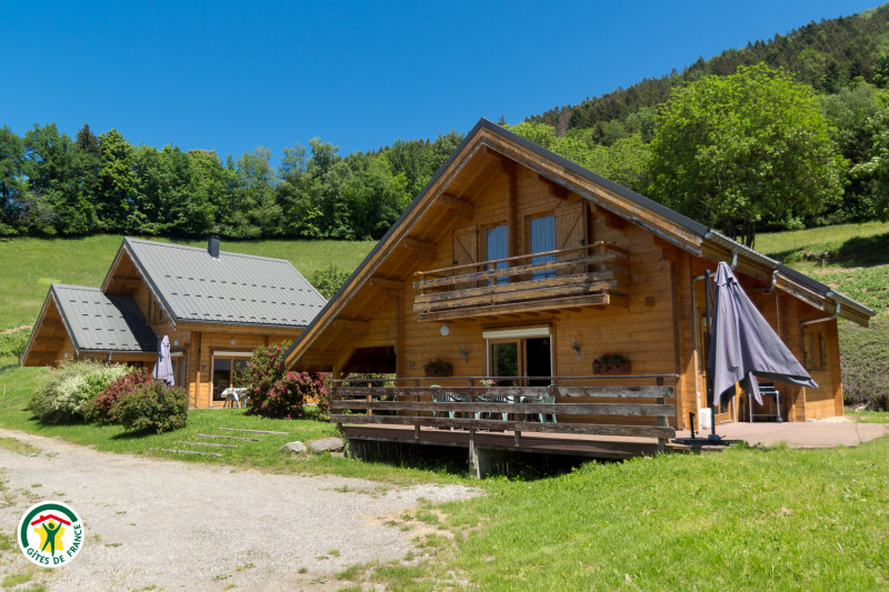 34538443.jpg.jpg 34538443.jpg.jpg