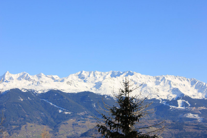 30217198.jpg.jpg 30217198.jpg.jpg