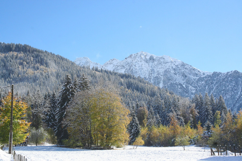 34562014.jpg.jpg 34562014.jpg.jpg