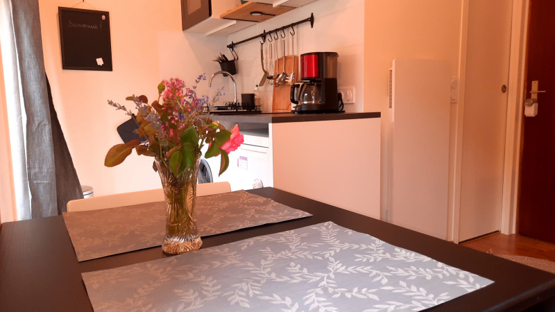 Cuisine - Studio Alpes Inn Le Globe n°2993 - © Alpes-Inn Cuisine - Studio Alpes Inn Le Globe n°2993