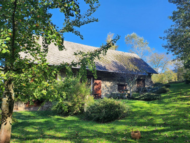 29369667.jpg.jpg 29369667.jpg.jpg