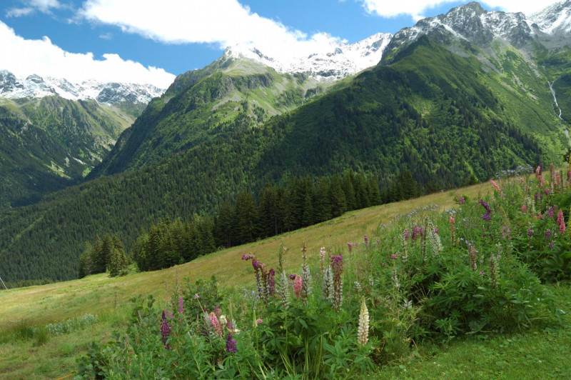 randonnée - © Gîtes de France randonnée