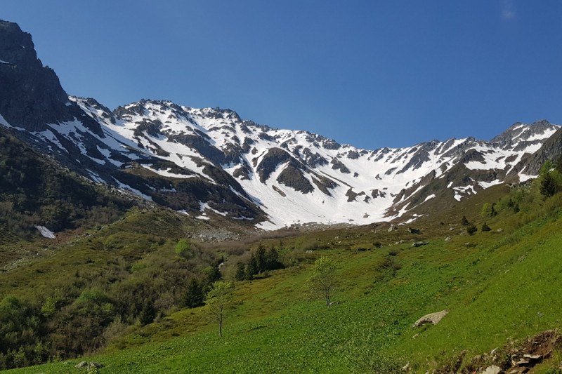 24639132.jpg.jpg 24639132.jpg.jpg