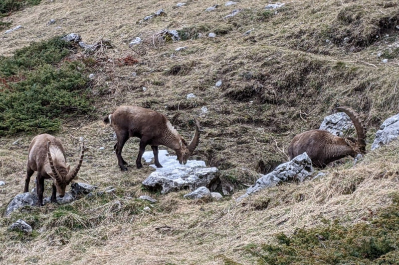 24639136.jpg.jpg 24639136.jpg.jpg