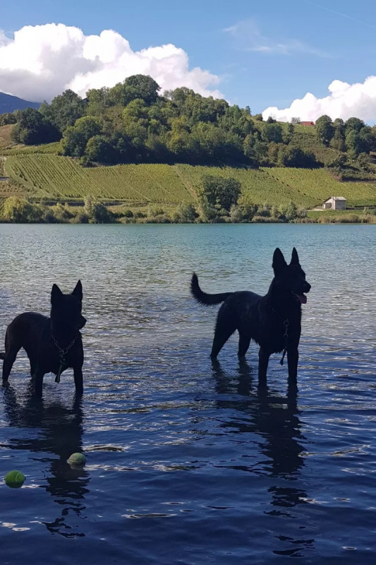 24639140.jpg.jpg 24639140.jpg.jpg