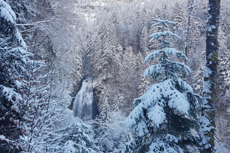 24639143.jpg.jpg 24639143.jpg.jpg