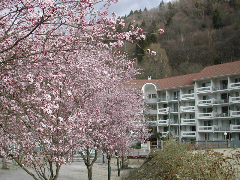 dscn1128residence5.jpg dscn1128residence5.jpg