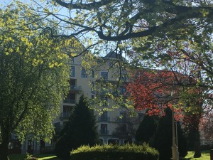 7041_5016.jpeg 7041_5016.jpeg