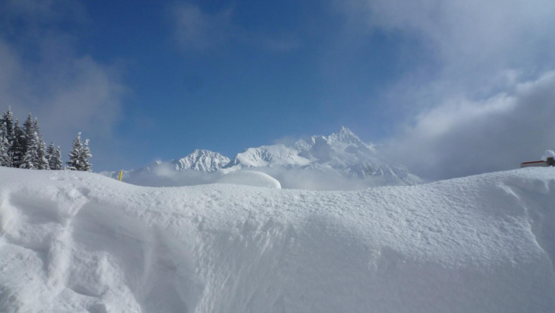 35538390.jpg.jpg 35538390.jpg.jpg