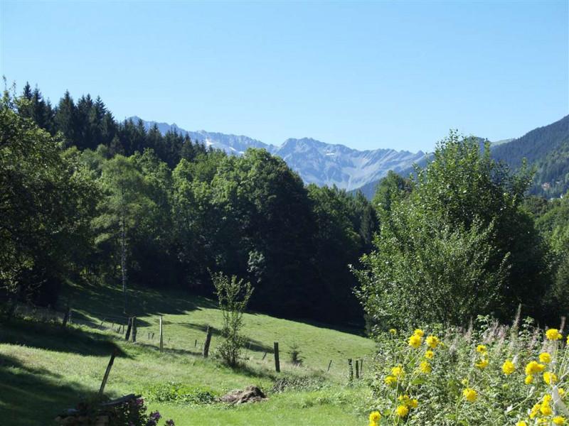 Vue du gîte sur le massif de Belledonne en été - © Gîtes de France Vue du gîte sur le massif de Belledonne en été