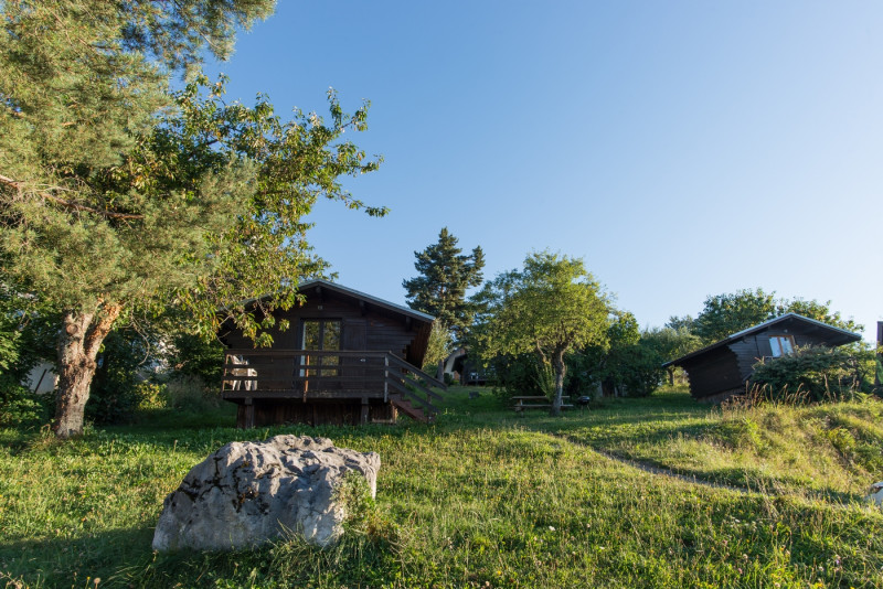 2016_le_vieux_frene_bd_photo_alain_douce_8.jpg 2016_le_vieux_frene_bd_photo_alain_douce_8.jpg