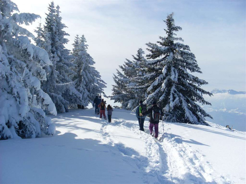 ballade en raquettes avec Thierry au crêt du poulet
