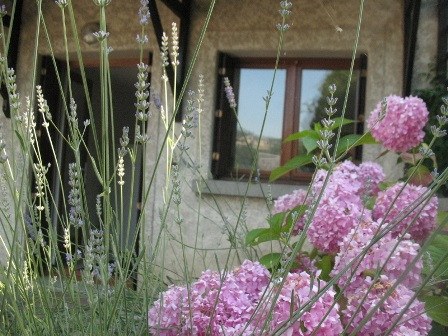 Appartement dans maison n°119 -Laidet Jardin - © Clévacances Appartement dans maison n°119 -Laidet Jardin