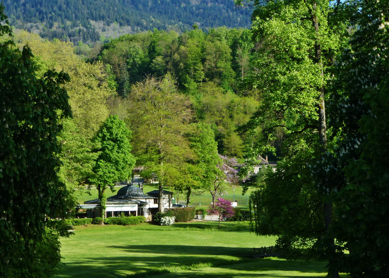 Vue du séjour au printemps - Appartement La suite côté Parc n°180 - © Caroline Meyer Vue du séjour au printemps - Appartement La suite côté Parc n°180