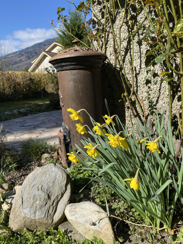 jardin villa SEBASTIEN - © Dominique MARTINEZ-MARECHAL jardin villa SEBASTIEN