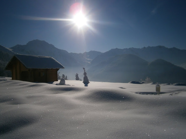 location_chalet_au_collet_d_allevard_allevard_resa_2425.jpg - © Les Terrasses du Collet location_chalet_au_collet_d_allevard_allevard_resa_2425.jpg