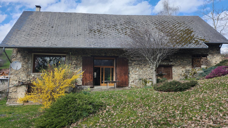 29369669.jpg.jpg 29369669.jpg.jpg