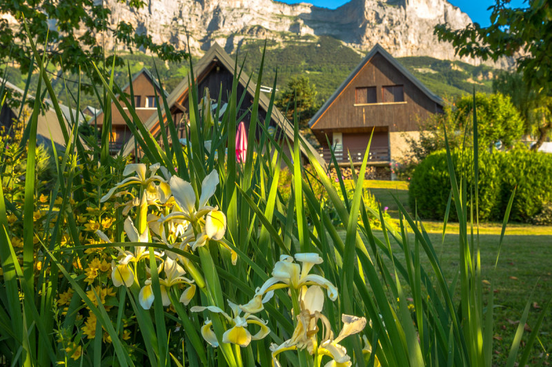 30521512.jpg.jpg 30521512.jpg.jpg