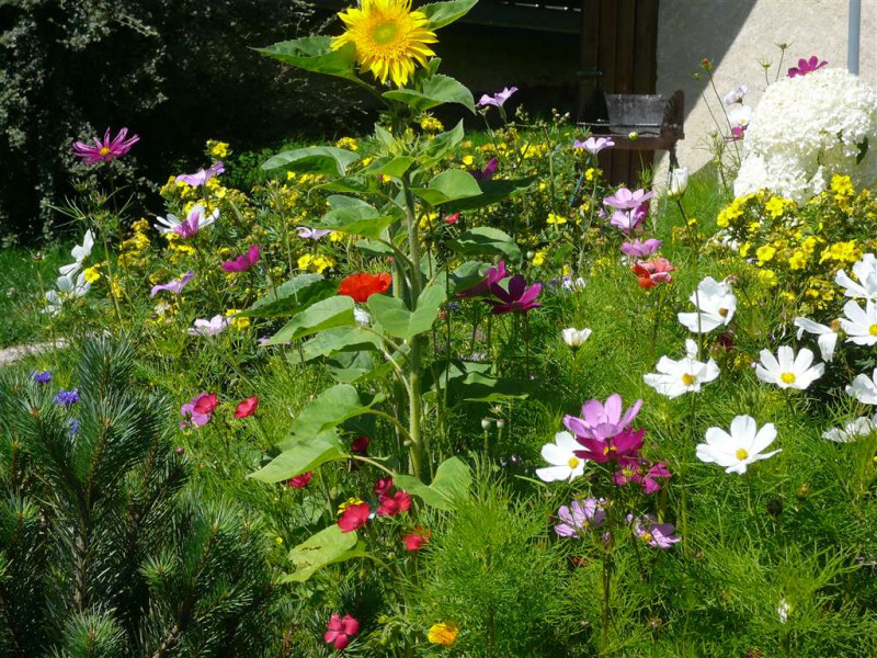 Fleurisement - © Gîtes de France Fleurisement