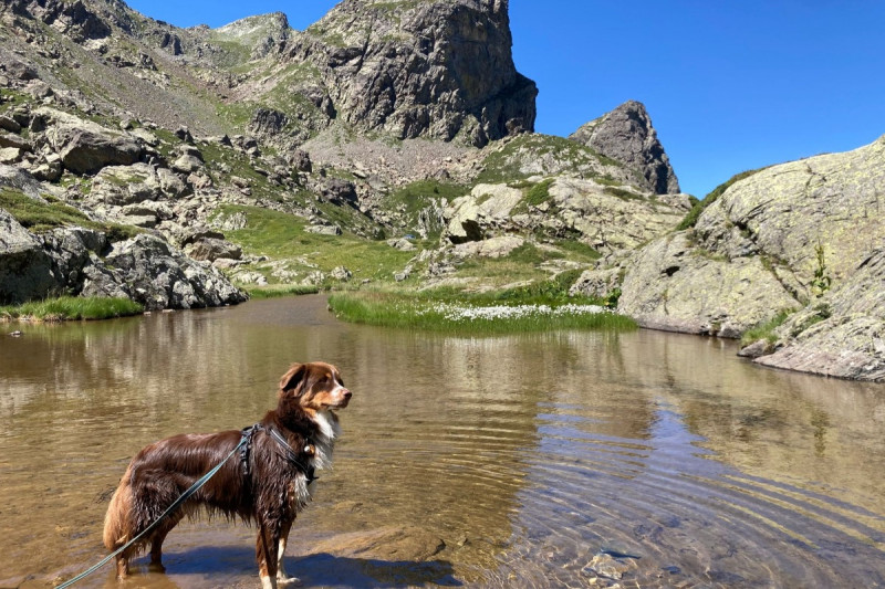 24639130.jpg.jpg 24639130.jpg.jpg