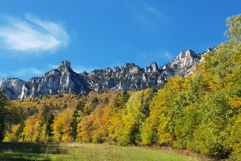 24639135.jpg.jpg 24639135.jpg.jpg