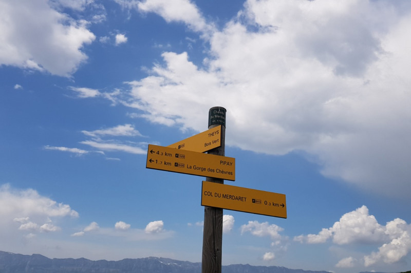 24639137.jpg.jpg 24639137.jpg.jpg