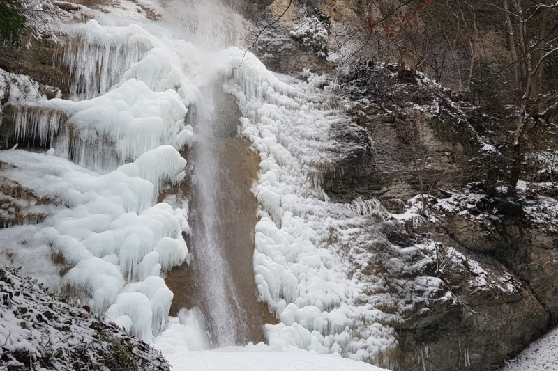 24639142.jpg.jpg 24639142.jpg.jpg