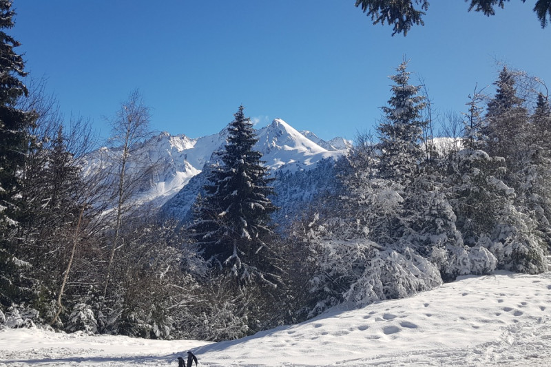 24639145.jpg.jpg 24639145.jpg.jpg