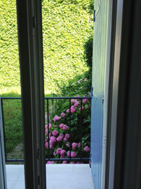 photo1_4430.jpg photo1_4430.jpg