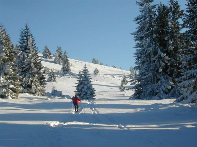 Randos en raquettes proches du Chalet