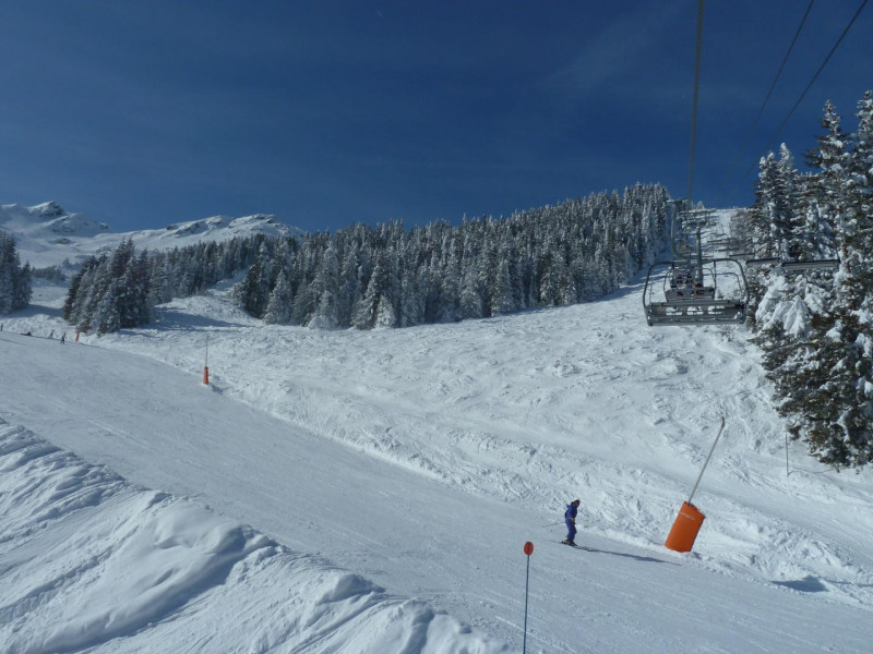 35538385.jpg.jpg 35538385.jpg.jpg